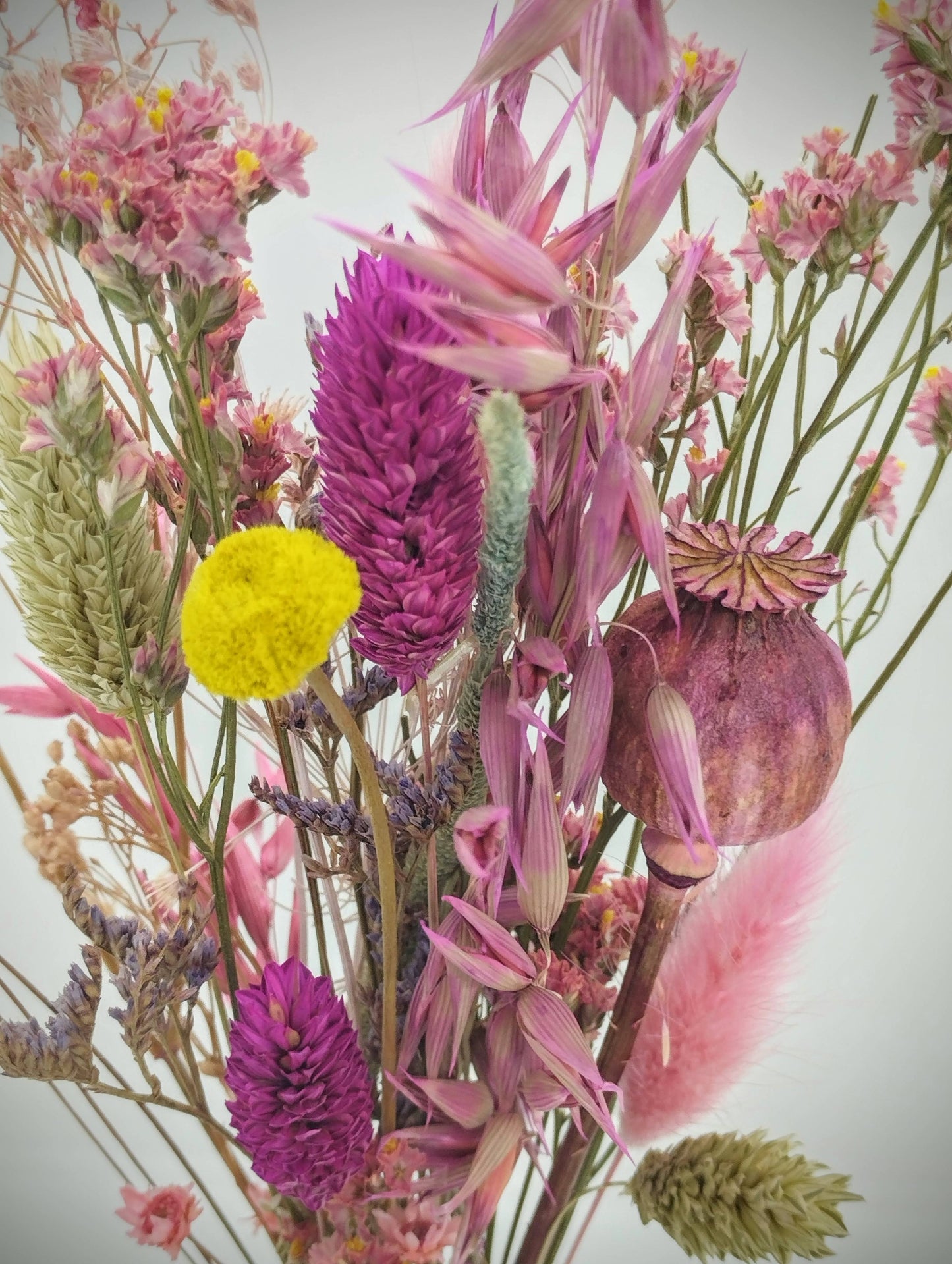 Droogbloemen in bubble-vaasje
