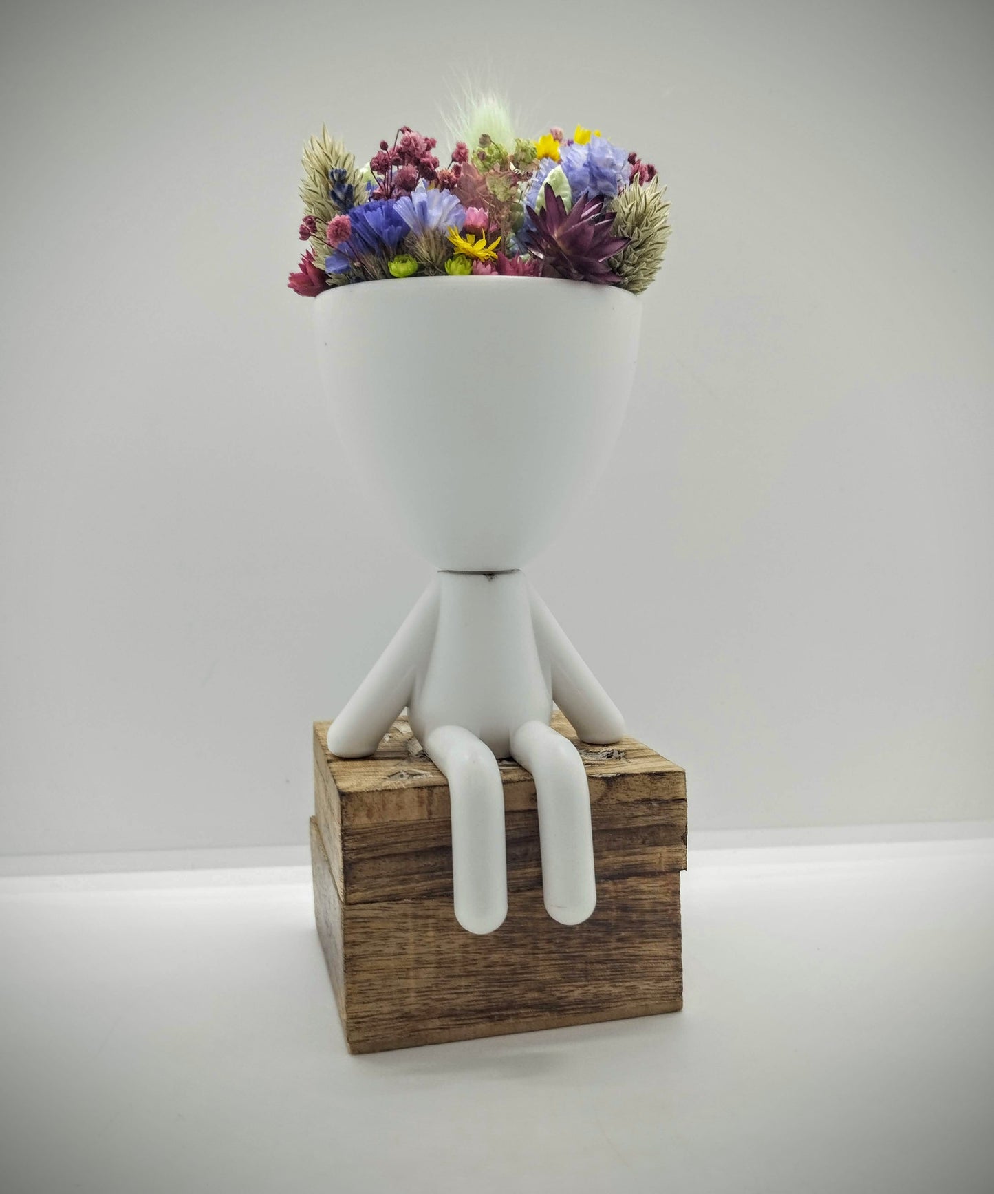 Plantenpotje mannetje met droogbloemen
