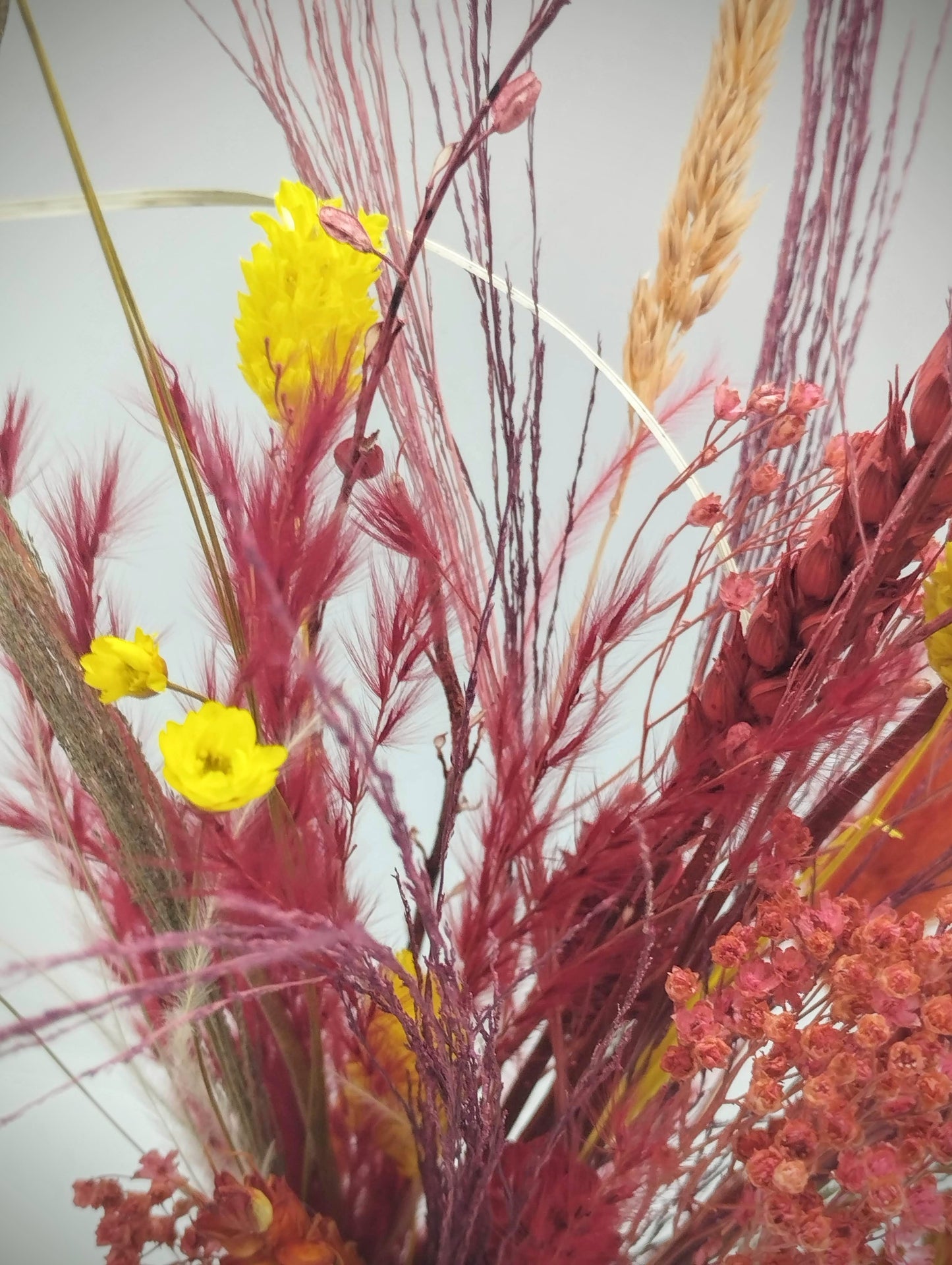 Droogbloemen in kleurrijk bubble-vaasje