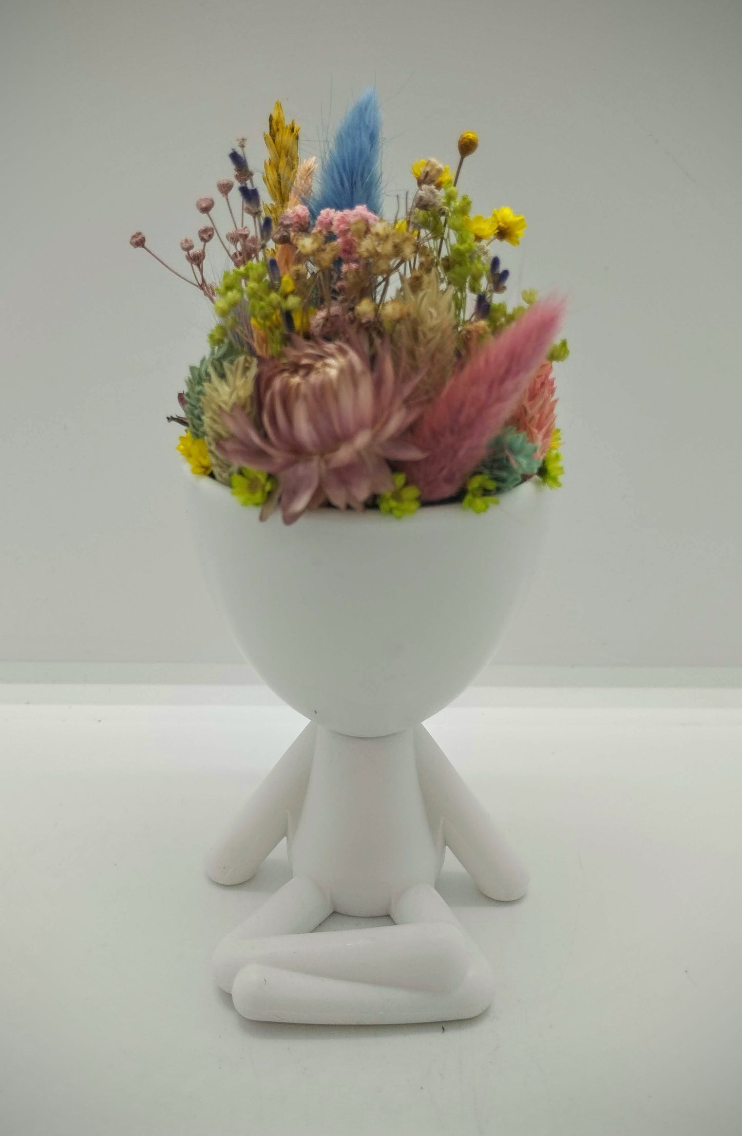 Plantenpotje mannetje met droogbloemen