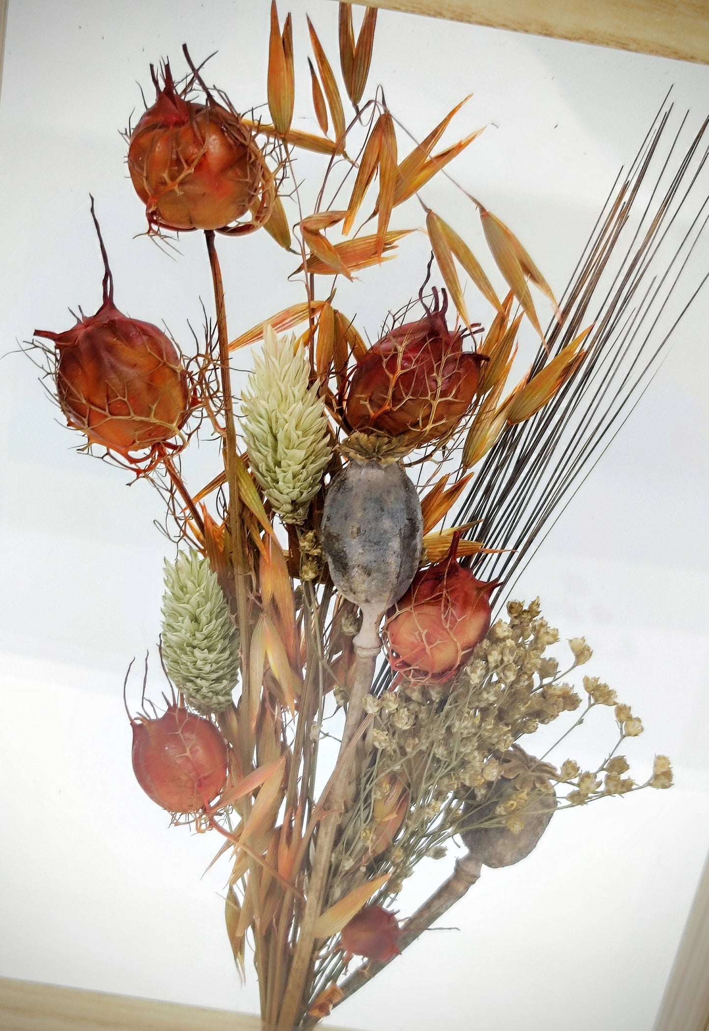Droogbloemen in houten kader
